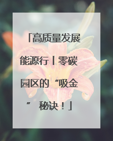 高质量发展能源行丨零碳园区的“吸金” 秘诀！