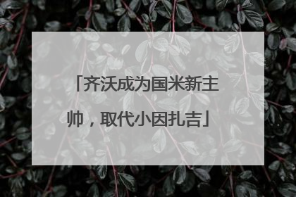 齐沃成为国米新主帅，取代小因扎吉