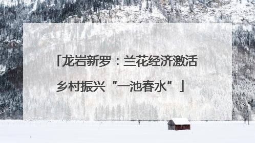 龙岩新罗：兰花经济激活乡村振兴“一池春水”