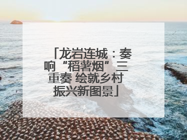 龙岩连城：奏响“稻薯烟”三重奏 绘就乡村振兴新图景
