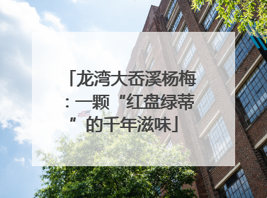 龙湾大岙溪杨梅：一颗“红盘绿蒂”的千年滋味
