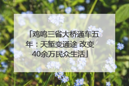 鸡鸣三省大桥通车五年：天堑变通途 改变40余万民众生活