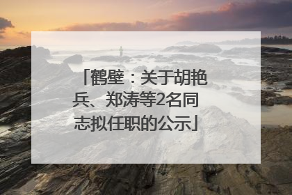 鹤壁：关于胡艳兵、郑涛等2名同志拟任职的公示