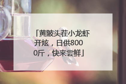 黄陂头茬小龙虾开炫，日供8000斤，快来尝鲜