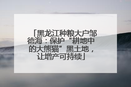 黑龙江种粮大户邹德海：保护“耕地中的大熊猫”黑土地，让增产可持续