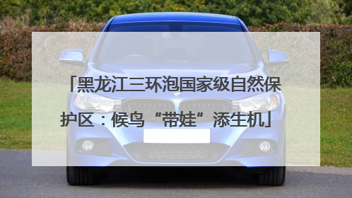 黑龙江三环泡国家级自然保护区：候鸟“带娃”添生机