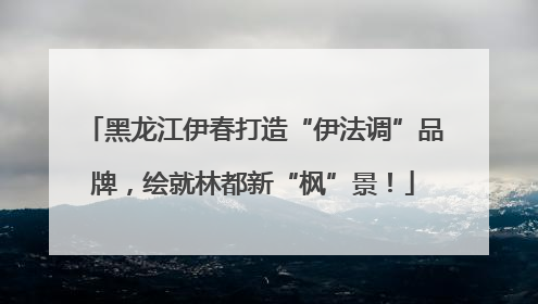 黑龙江伊春打造“伊法调”品牌，绘就林都新“枫”景！