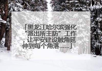 黑龙江哈尔滨强化“派出所主防”工作，让平安建设触角延伸到每个角落……