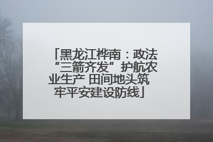 黑龙江桦南：政法“三箭齐发”护航农业生产 田间地头筑牢平安建设防线