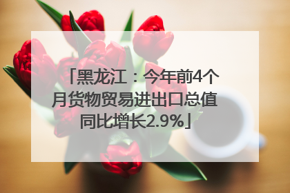 黑龙江：今年前4个月货物贸易进出口总值同比增长2.9%