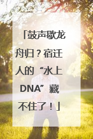 鼓声歇龙舟归？宿迁人的“水上DNA”藏不住了！