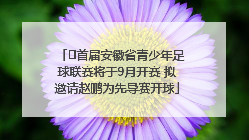 ﻿首届安徽省青少年足球联赛将于9月开赛 拟邀请赵鹏为先导赛开球