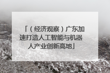 （经济观察）广东加速打造人工智能与机器人产业创新高地