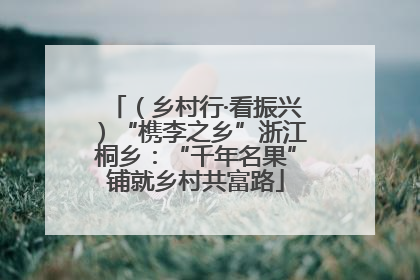 （乡村行·看振兴）“槜李之乡”浙江桐乡：“千年名果”铺就乡村共富路