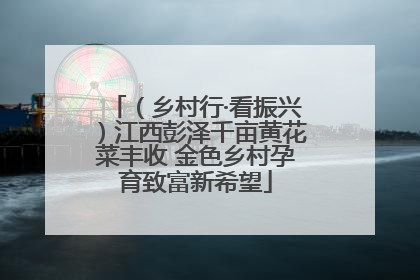 （乡村行·看振兴）江西彭泽千亩黄花菜丰收 金色乡村孕育致富新希望