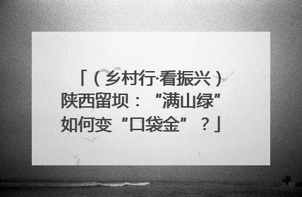 （乡村行·看振兴）陕西留坝：“满山绿”如何变“口袋金”？