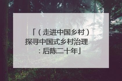 （走进中国乡村）探寻中国式乡村治理：后陈二十年
