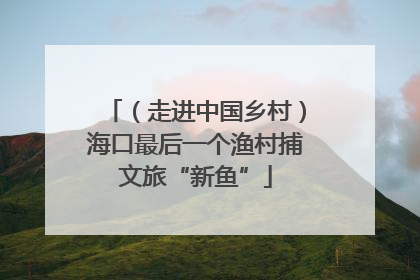 （走进中国乡村）海口最后一个渔村捕文旅“新鱼”
