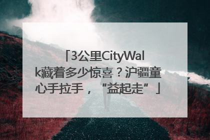 3公里CityWalk藏着多少惊喜？沪疆童心手拉手，“益起走”