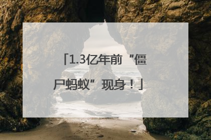 1.3亿年前“僵尸蚂蚁”现身！