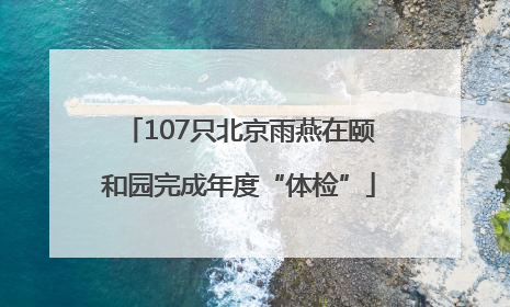 107只北京雨燕在颐和园完成年度“体检”