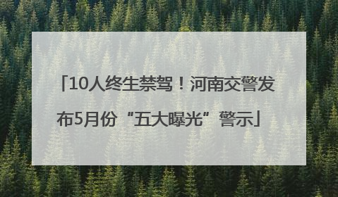 10人终生禁驾！河南交警发布5月份“五大曝光”警示