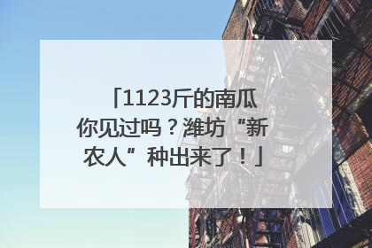 1123斤的南瓜你见过吗？潍坊“新农人”种出来了！