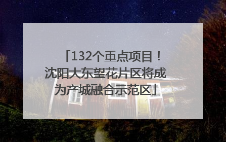 132个重点项目！沈阳大东望花片区将成为产城融合示范区