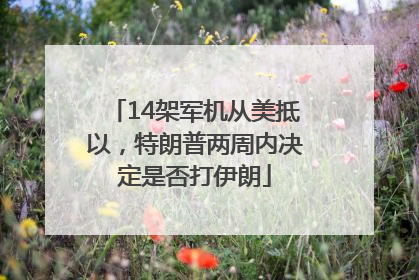 14架军机从美抵以，特朗普两周内决定是否打伊朗