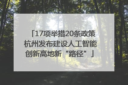 17项举措20条政策 杭州发布建设人工智能创新高地新“路径”