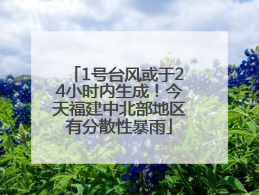1号台风或于24小时内生成！今天福建中北部地区有分散性暴雨