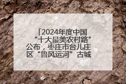 2024年度中国“十大最美农村路”公布，枣庄市台儿庄区“鲁风运河”古城文化廊道上榜！
