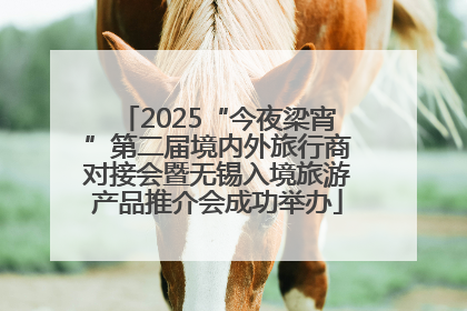 2025“今夜梁宵”第二届境内外旅行商对接会暨无锡入境旅游产品推介会成功举办