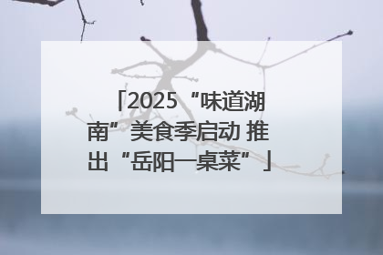 2025“味道湖南”美食季启动 推出“岳阳一桌菜”