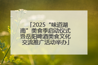 2025“味道湖南”美食季启动仪式暨岳阳啤酒美食文化交流推广活动举办
