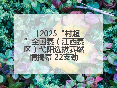 2025“村超”全国赛（江西赛区）弋阳选拔赛燃情揭幕 22支劲旅绿茵逐梦