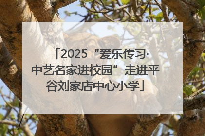 2025“爱乐传习·中艺名家进校园”走进平谷刘家店中心小学