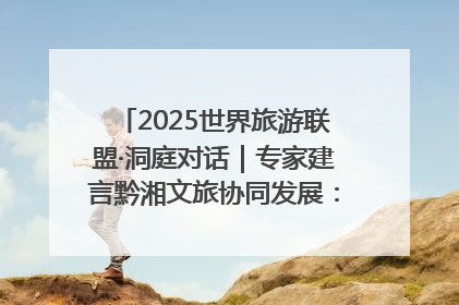 2025世界旅游联盟·洞庭对话｜专家建言黔湘文旅协同发展：聚焦产品稀缺性 深化区域经验共享