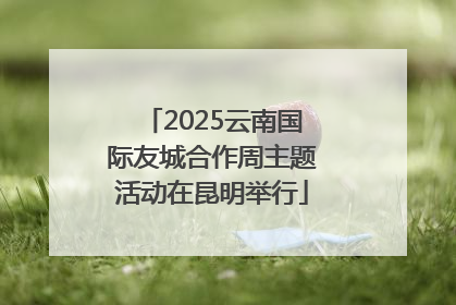 2025云南国际友城合作周主题活动在昆明举行
