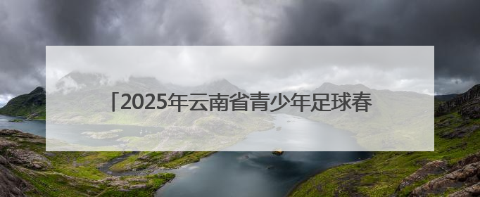 2025年云南省青少年足球春季学期周末联赛冠亚季军揭晓 职业球星与足球小将共享荣耀时刻