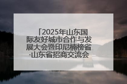 2025年山东国际友好城市合作与发展大会暨印尼楠榜省·山东省招商交流会在济南槐荫举行