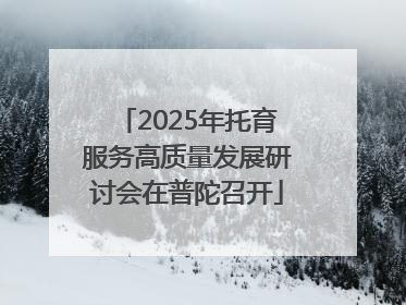 2025年托育服务高质量发展研讨会在普陀召开