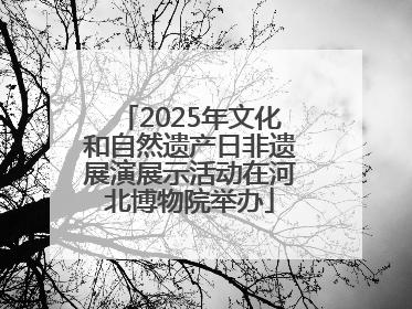2025年文化和自然遗产日非遗展演展示活动在河北博物院举办