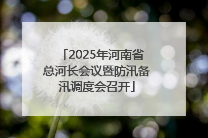 2025年河南省总河长会议暨防汛备汛调度会召开