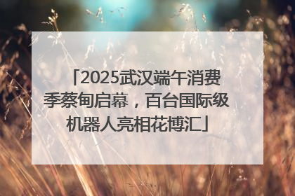 2025武汉端午消费季蔡甸启幕，百台国际级机器人亮相花博汇