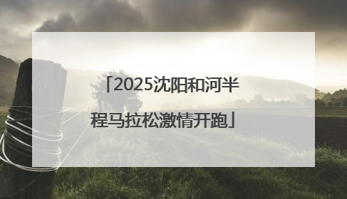2025沈阳和河半程马拉松激情开跑