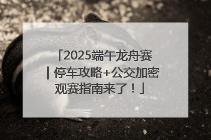 2025端午龙舟赛｜停车攻略+公交加密 观赛指南来了！