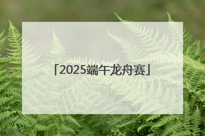 2025端午龙舟赛