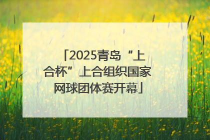 2025青岛“上合杯”上合组织国家网球团体赛开幕