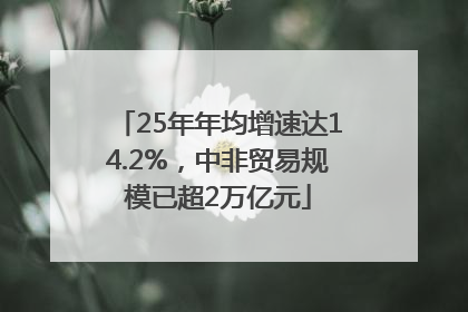 25年年均增速达14.2%，中非贸易规模已超2万亿元